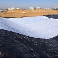 Tissu géotextile non tissé en polyester PP pour le drainage, la construction routière et le contrôle de l'érosion des pentes - Fournisseur de géotextiles