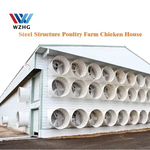 Cobertizos de metal para granja avícola, estructura de acero prefabricado, 800M2, 10000 piezas, para Nigeria