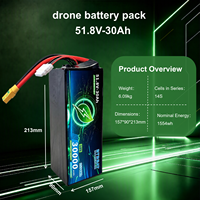 Paket Baterai Custom51.8V 14S 3C-5C Discharge untuk Drone Survei OEM UAV