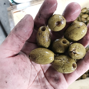 Máquina de procesamiento y eliminación de semillas, deshuesador de <span class=keywords><strong>cereza</strong></span>, eliminación de granos de oliva - Product Image 6