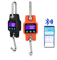 Balance de grue sans fil portable avec fonction Bluetooth, capacité de pesée de 300 kg, affichage intuitif LED/LCD