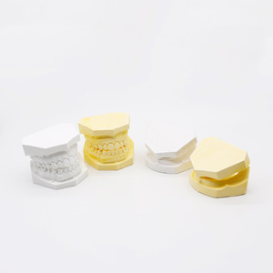 Modelos de yeso dental para mandíbula superior e inferior, modelos de cavidad oral para enseñanza, para uso adulto. - Product Image 3