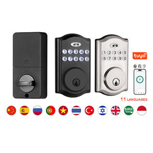 أقفال قفل لكلمة المرور من نوع yitche الأمريكية ، صغيرة مقاومة للماء ، تطبيق تويا ، زر دفع رقمي ذكي ، أقفال باب ديدبولت مع مفتاح - Product Image 2