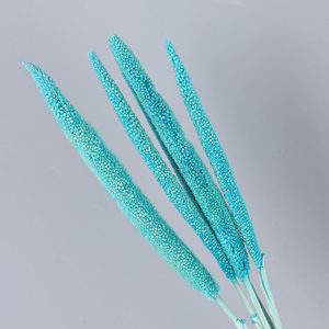 Vendedor caliente Flores decorativas Palos de perlas secas Flores secas para el hogar/Decoración DE BODA Palos de perlas - Product Image 5