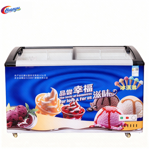 Vente flash : Congélateur à air continu pour glaces, <span class=keywords><strong>vitrine</strong></span> de présentation profonde à 2 portes - Product Image 5