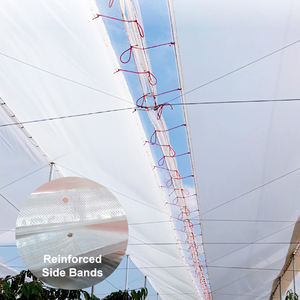 ฟิล์มเกษตร LUGRAPES ความแข็งแรงสูง ป้องกันลูกองุ่นจากลูกเห็บและฝน ควบคุมการสุก ช่วยเพิ่มผลผลิตองุ่น - Product Image 1