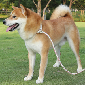 Set Tali & Kalung Anjing Tahan Lama Berwarna-warni, Tali Pengikat Hewan Peliharaan untuk Latihan Jalan-jalan di Luar Ruangan - Product Image 3