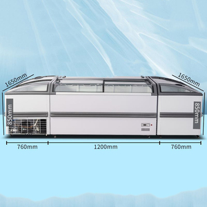 <span class=keywords><strong>Congelatore</strong></span> <span class=keywords><strong>Orizzontale</strong></span> Commerciale di Alta Qualità Rebirth, Nuovo Stile, per Supermercati con Compressore di Marca - Product Image 3