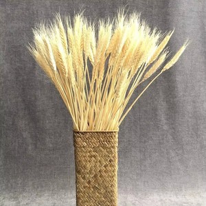 Bouquet <span class=keywords><strong>de</strong></span> fleurs séchées écologiques en forme <span class=keywords><strong>d</strong></span>'<span class=keywords><strong>épi</strong></span> <span class=keywords><strong>de</strong></span> <span class=keywords><strong>blé</strong></span> doré, simulation <span class=keywords><strong>d</strong></span>'<span class=keywords><strong>orge</strong></span> pour aménagement paysager, <span class=keywords><strong>d</strong></span>écoration <span class=keywords><strong>de</strong></span> maison, mariage, Noël, cadeau DIY en gros - Product Image 3