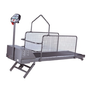 5HP 전기 강아지 트레드밀 스틸 애완견 러닝머신 판매 방수 스틸 강아지 어질리티 훈련 장비 - Product Image 3
