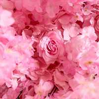 Roze bloemenwand bruiloft achtergrond decoratie feestdecoratie stof bloemenpaneel kunstmatige zijden bloesem bloemenwand