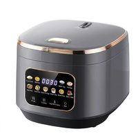 Autocuiseur Électrique Intelligent WT-A13-3.0L avec Minuteur 24H, Maintien au Chaud 24H, Écran LCD et 10 Modes de Cuisson