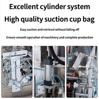 Machine de remplissage entièrement automatique pour sachets préformés de pâte de piment granulaire et de base de sauce pour fondue chinoise