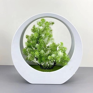 Venta directa de fábrica simulación Flor de plástico aguja de pino decoración de escritorio decorativa planta de simulación en maceta pequeños Bons - Product Image 2