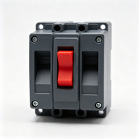 250A 2P 10kA DC 1000V Thermal-Magnetic MCCB Pemutus Sirkuit Cetak Cepat 50/60Hz PV Solar
