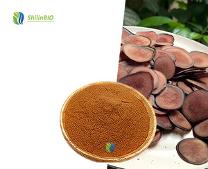 Extracto Herbal de Asta de Ciervo de Grado Alimenticio SLBIO 10:120:1 en Polvo Soluble en Agua en Envase de Tambor/Botella - Product Image 3