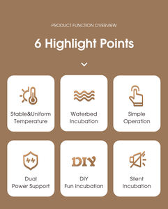 WONEGG Matériau <span class=keywords><strong>en</strong></span> bois Commercial 9 Egg Température constante Entièrement automatique Petit incubateur à vendre - Product Image 4