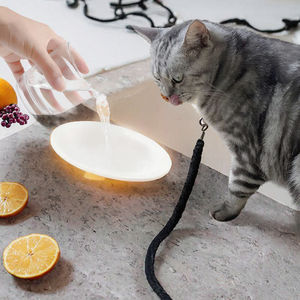 Bol pour chien en bambou moderne, écologique, portable, imperméable, résistant aux éclaboussures, protège la colonne cervicale, matériau en bois - Product Image 2