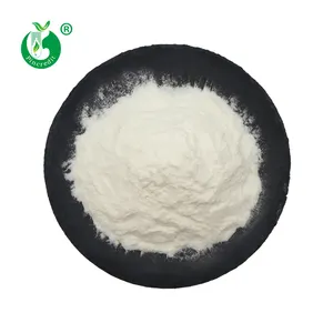 Wholesale Price Bulk Natural Food Preservative 95% Natamycin E235 Natamycin Powder