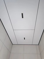 Système de bardage de plafond suspendu en panneaux de mur-rideau en aluminium à grain de bois pour bâtiments commerciaux