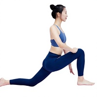 Bantal Yoga, Bantalan Fitness, Alat Bantu Peregangan, Perlengkapan Yoga, Tahan Tekanan JY-1654 Yiwu Bahan Lainnya