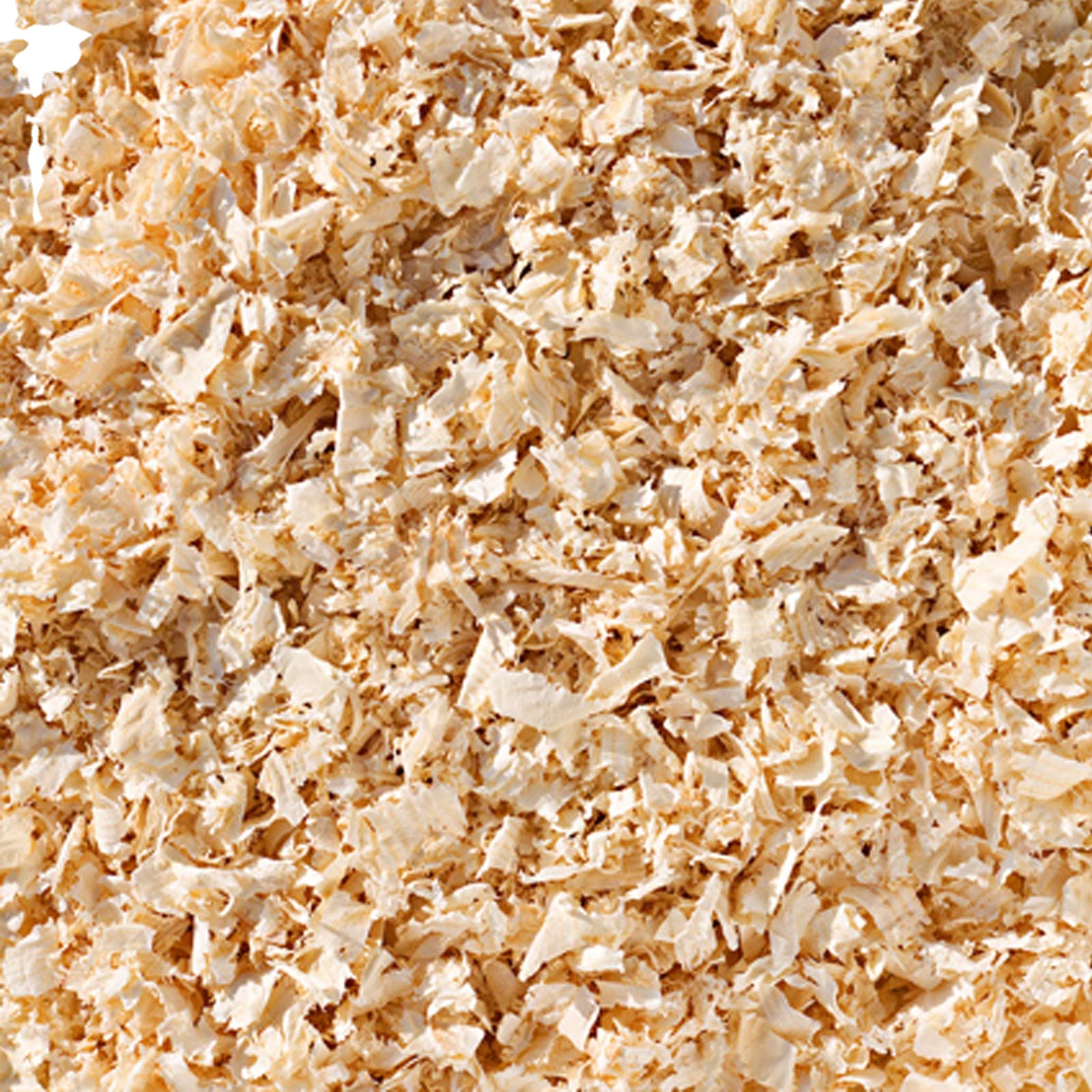 чистая сухая. пшеница зерно.