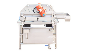 Linea di taglio per la pulizia delle verdure della macchina di disidratazione del tritatutto a fette di lavaggio della cipolla elettrica commerciale principale a buon mercato - Product Image 4