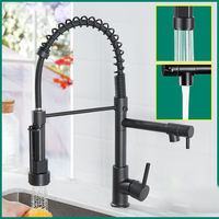 Robinet de cuisine classique moderne à une poignée en laiton avec pulvérisateur à ressort rétractable Robinets d'évier en céramique à double bec pour hôtels