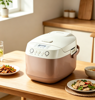 Autocuiseur Électrique Multifonction Grande Capacité FT50G 5L (10 Tasses de Riz) 860W pour Approvisionnement en Gros