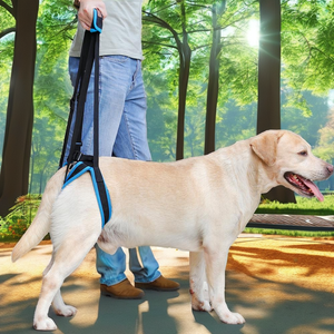 Harnais de soutien pour pattes arrière de chien, avec bouton solide, sangle de levage réglable, poignée, en polyester bleu, aide à la mobilité pour chiens âgés, handicapés, de grande taille - Product Image 2