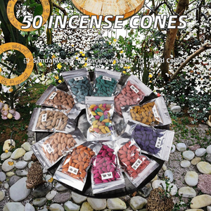 50pcs/bag Religious Lavender Scented Backflow Tower Accessories Colorful Bullet Shape <b>Incense</b> <b>Cones</b> Natural Spring Summer - Product Image 2