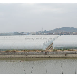 <span class=keywords><strong>Serre</strong></span> agricole en acier galvanisé avec couverture en film pour la culture de légumes et de fleurs - Product Image 5