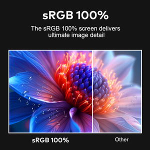 16 inch 2.5K 2560*1600 sRGB 100% FHD máy tính xách tay ba di động 360 ° lật lên và xuống tương thích với 12-18.5 ''thắng, MAC - Product Image 6