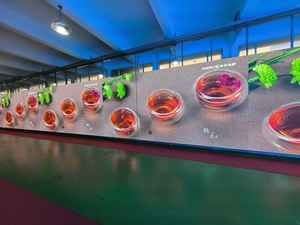 Pantalla LED para Interiores de 500x500/500x1000 P8 16:9, Video Wall LED para Alquiler, Pantalla para Escenarios, Distancia entre Píxeles de 2.6mm, Garantía de 2 Años, SDK OEM - Product Image 5