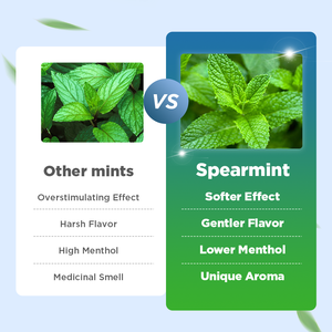 Chinaherbs 100%, especias de té de menta verde secas orgánicas naturales, menta, relajación, té de <span class=keywords><strong>almeja</strong></span>, limpieza Mental, relajación cerebral, comodidad - Product Image 5