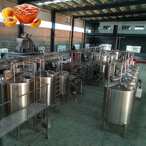 Máy nghiền cà chua Máy ép trái cây Máy chiết xuất nước ép cà chua dây chuyền chế biến - Product Image 5