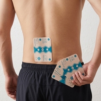 Nouveau Patch Corporel Confortable Chaud/Froid aux Extraits de Plantes pour Soulager la Douleur, Patch Corporel Flexible Adapté au Teint pour les Douleurs Articulaires