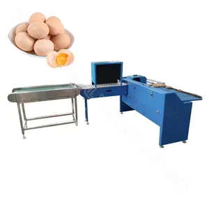 Egg size grade machine for sorting eggs automatic egg grading packing machine