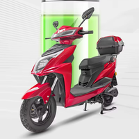 Moto électrique pour adultes 1000W 60V20Ah Batterie au plomb-acide Vitesse maximale 55 km/h Cadre en aluminium Scooter électrique