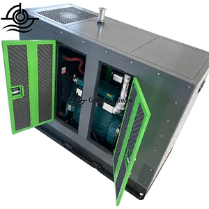 50kW 100kW CHP Biomassa Gas Stoom Houtvergasser Energiegenerator Elektriciteits Turbine Generatie 24V DC Enkel Model GAS-0900 - Product Image 1