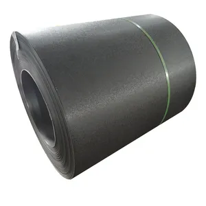 0.19Mm Sgcc Zink 50G Verf Film Dikte 18/7 Kleur Gecoat Ppgl/Ppgi Wit Blauw Zwart Gegalvaniseerd Staal Spoel