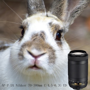 ขายส่งจากโรงงาน เลนส์กล้องมือสอง AF-P DX Nikkor 70-300mm F/4.5-6.3G ED SLR สำหรับกล้อง APS-C เลนส์ระยะกลางและระยะไกล - Product Image 6