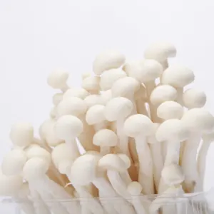 DETAN Chinese Factory Growing Exotic Fresh White Beech Mushroom