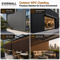 Revêtement mural WPC Everwall économique et léger, panneau extérieur durable avec design pré-percé