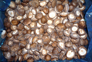 Chất Lượng Cao Cấp <span class=keywords><strong>Iqf</strong></span> Đông Lạnh Shiitake Nấm Dinh Dưỡng <span class=keywords><strong>Iqf</strong></span> Nấm Cho Bữa Ăn Lành Mạnh - Product Image 3