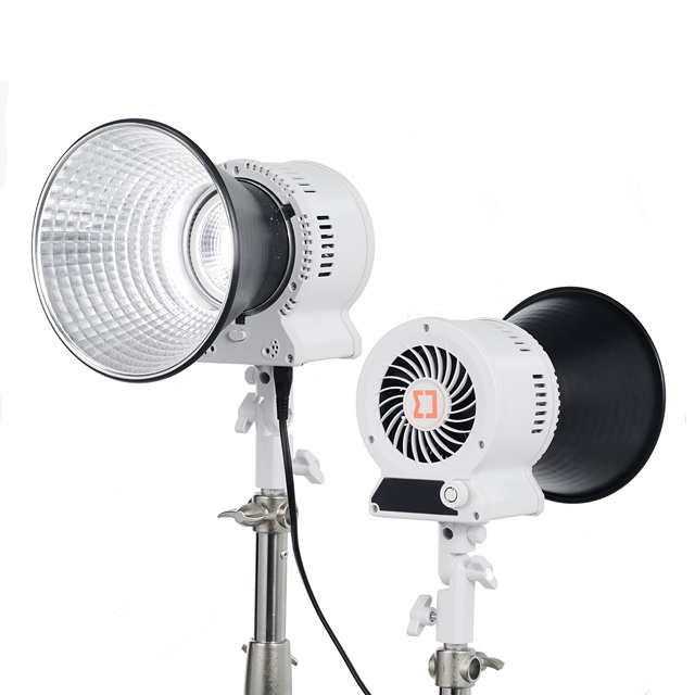 DENGWEi 300W Professional Metal COB LED Studio Light Continuous Photographic Lighting Bowens Mount for HD Live-Streaming Video