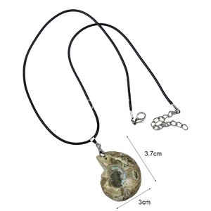 Collana con Ciondolo in Fossile di Conchiglia Naturale, <span class=keywords><strong>Gioielli</strong></span> in Cristallo per Donna e Uomo, Regalo all'Ingrosso - Product Image 2