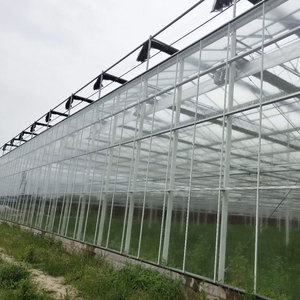 Smart Agricultural Multi-Span Venlo Tempered <strong>Glass</strong> <strong>Greenhouse</strong> with Solar Photovoltaic <strong>Panels</strong> and Steel Frame for Plant Growth - Product Image 3