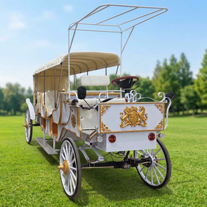 Véhicule de tourisme électrique de luxe le plus populaire d'Europe, type calèche royale, pour excursions en plein air, à vendre - Product Image 1