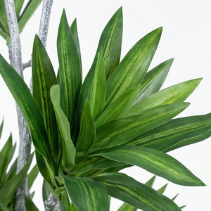 <b>Artificial</b> Plant Multi Stem Staggered Dracaena <b>Tree</b> Real Touch Decorative Indoor Plant for Home Office Hotel Decor - Product Image 4